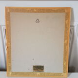 Framed bird engraving