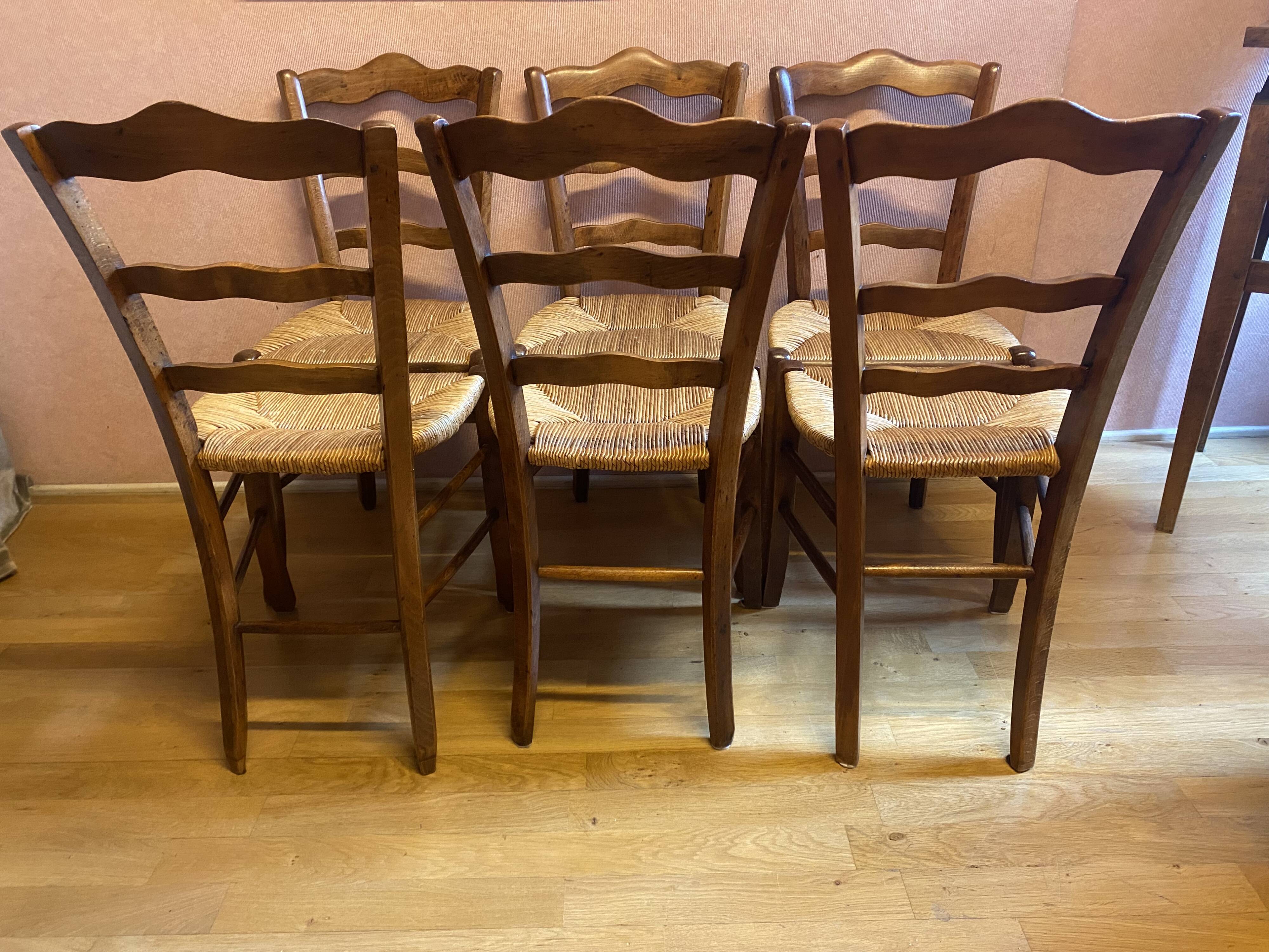 Series of 6 straw chairs