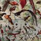 Planche illustrée vintage sur les oiseaux de paradis - 1930