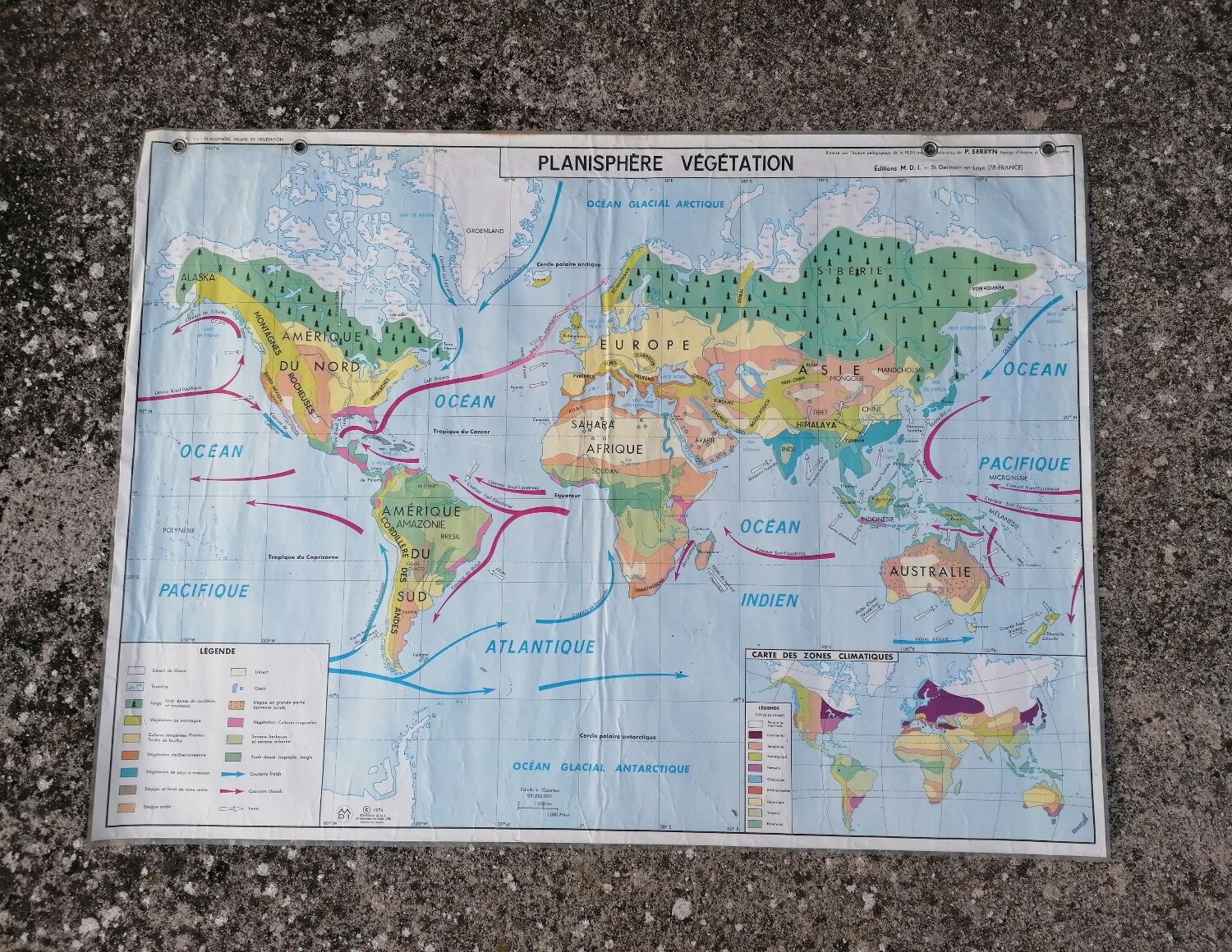 Planisphere world map vintage physics and vegetation