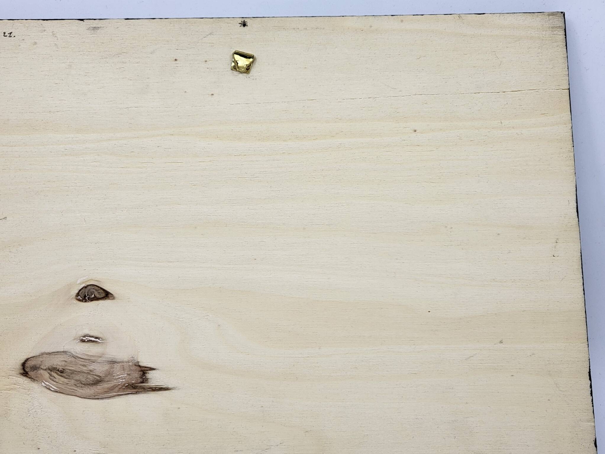 Naive Art painting painting on wood