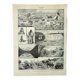 Old engraving 1898, Canada: fauna, flora, tribe • Original and vintage lithograph