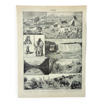 Old engraving 1898, Canada: fauna, flora, tribe • Original and vintage lithograph