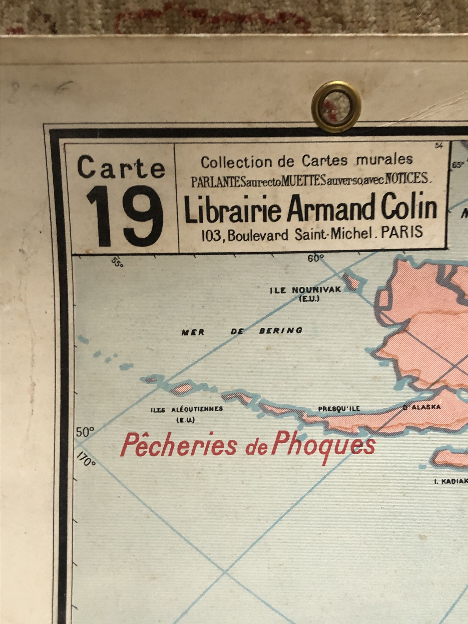 Carte pédagogique Amérique du Nord politique juin 1950