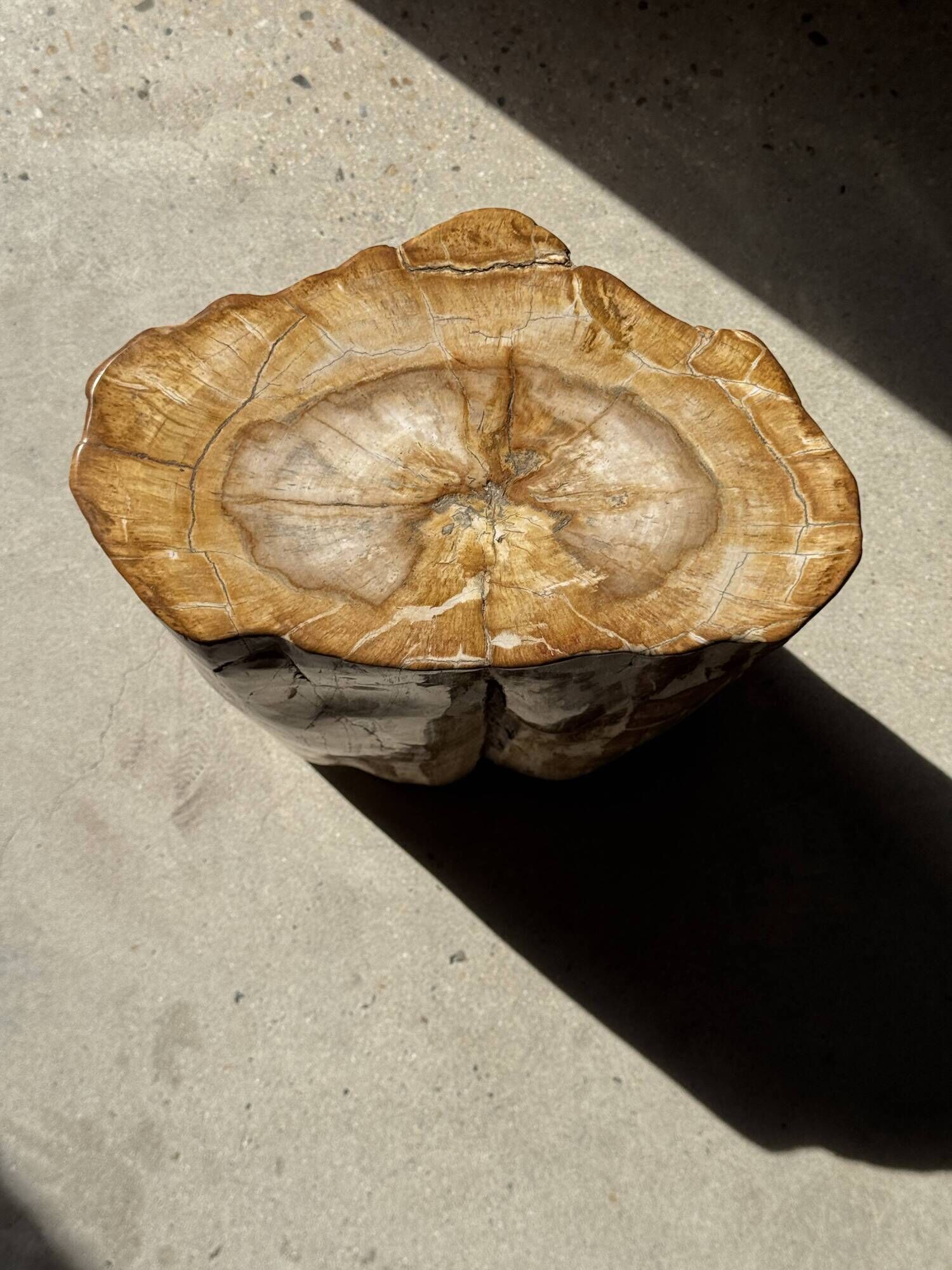 Table d'appoint en bois pétrifié orange doré et blanche ovale H46 D38 - 333
