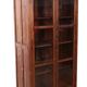 Burmese teak bookcase