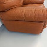 Pair of vintage Coquelicot lounge chairs by Tito Agnoli for Poltrona Frau in leather from the 70s