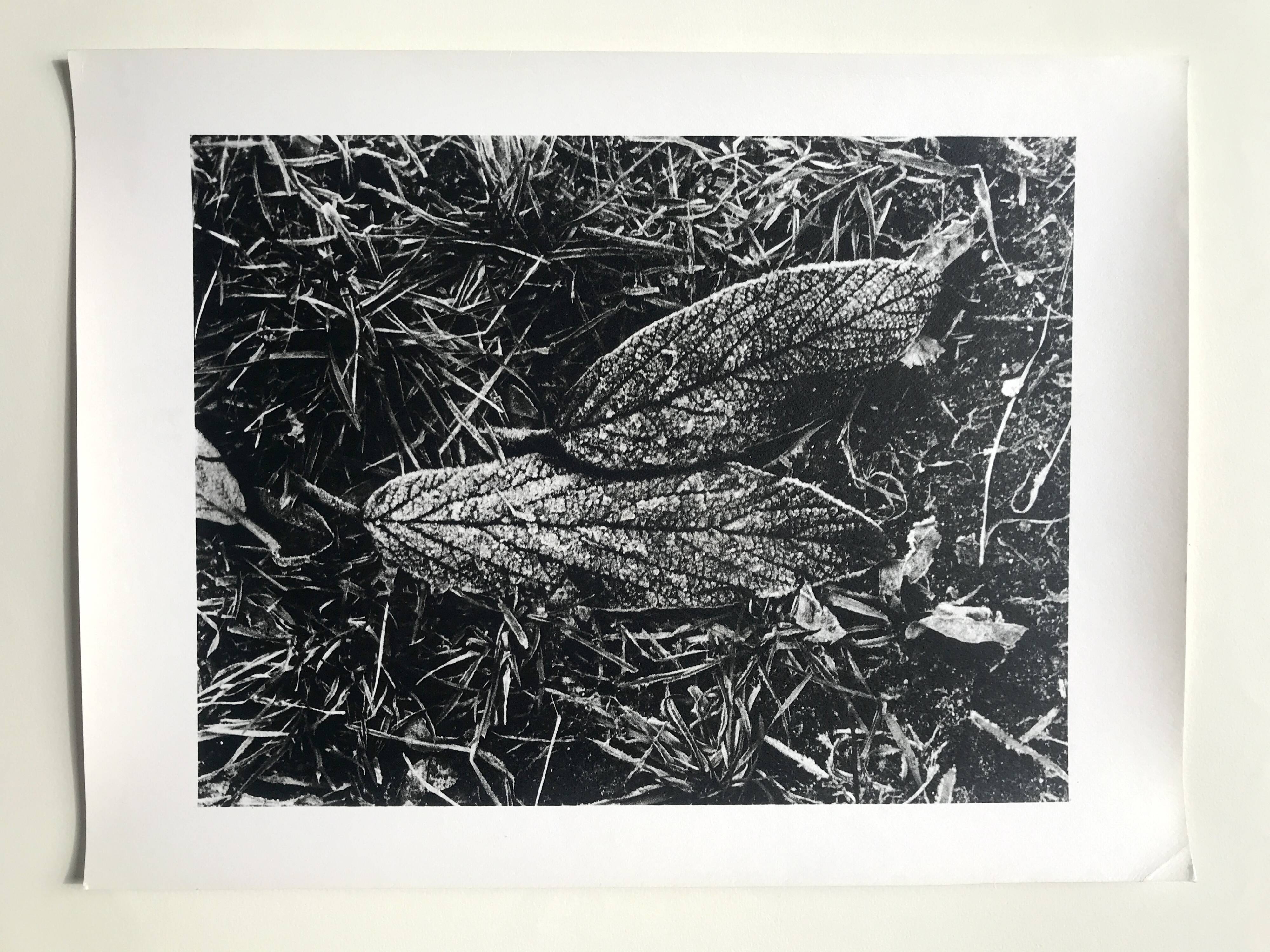 Rosine nusimovici, frost, 1980. black and white silver print signed on the back