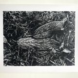 Rosine nusimovici, frost, 1980. black and white silver print signed on the back