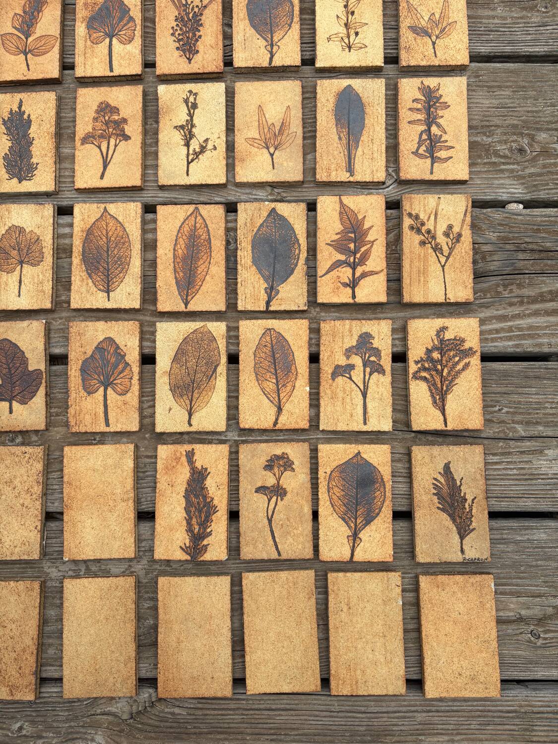 Set of 52 Vallauris herbarium tiles signed Capron