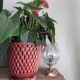 Plant pot