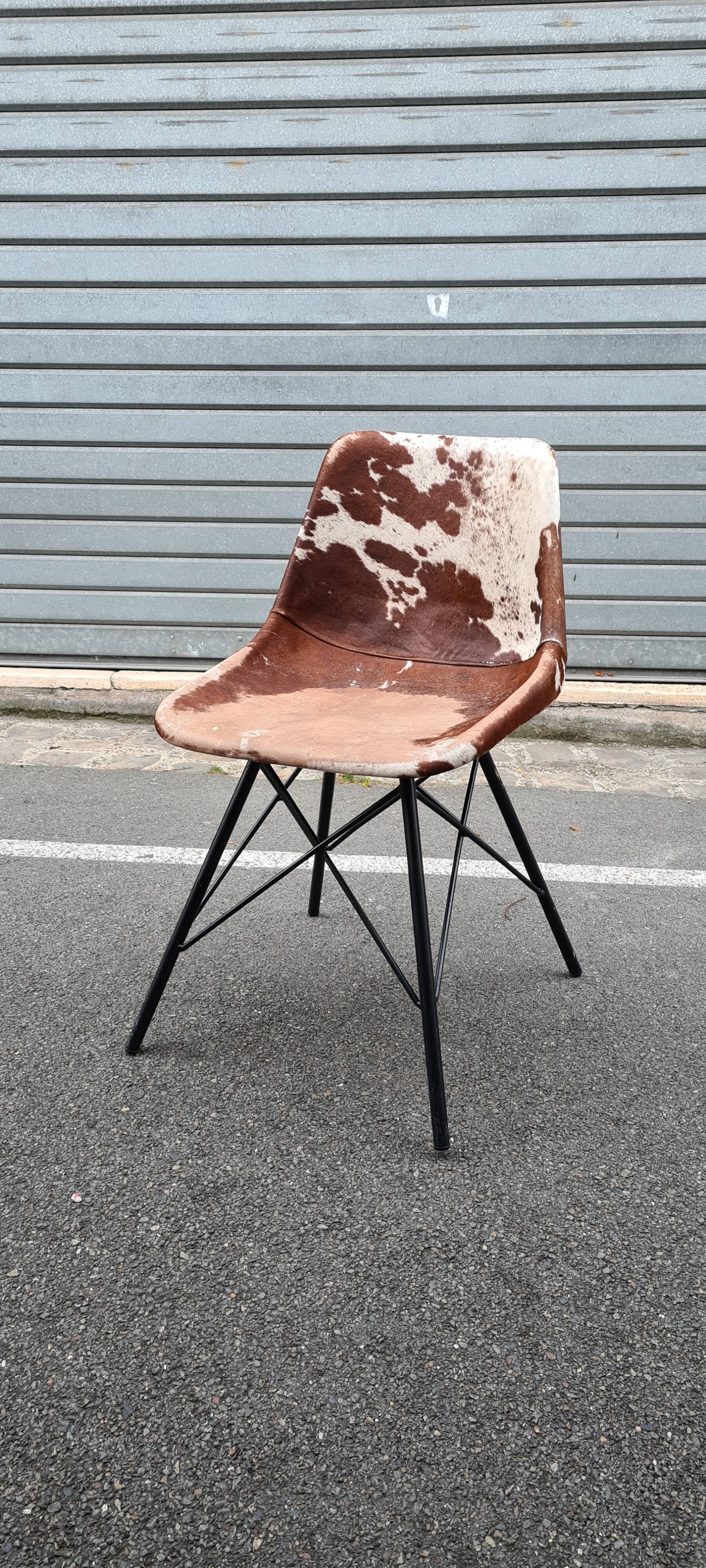 Sete of 6 cow haid chairs
