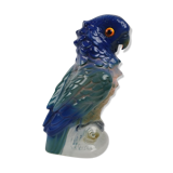 Night light parrot, twentieth century