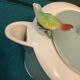 Cups + Saucers + Jug + Bird