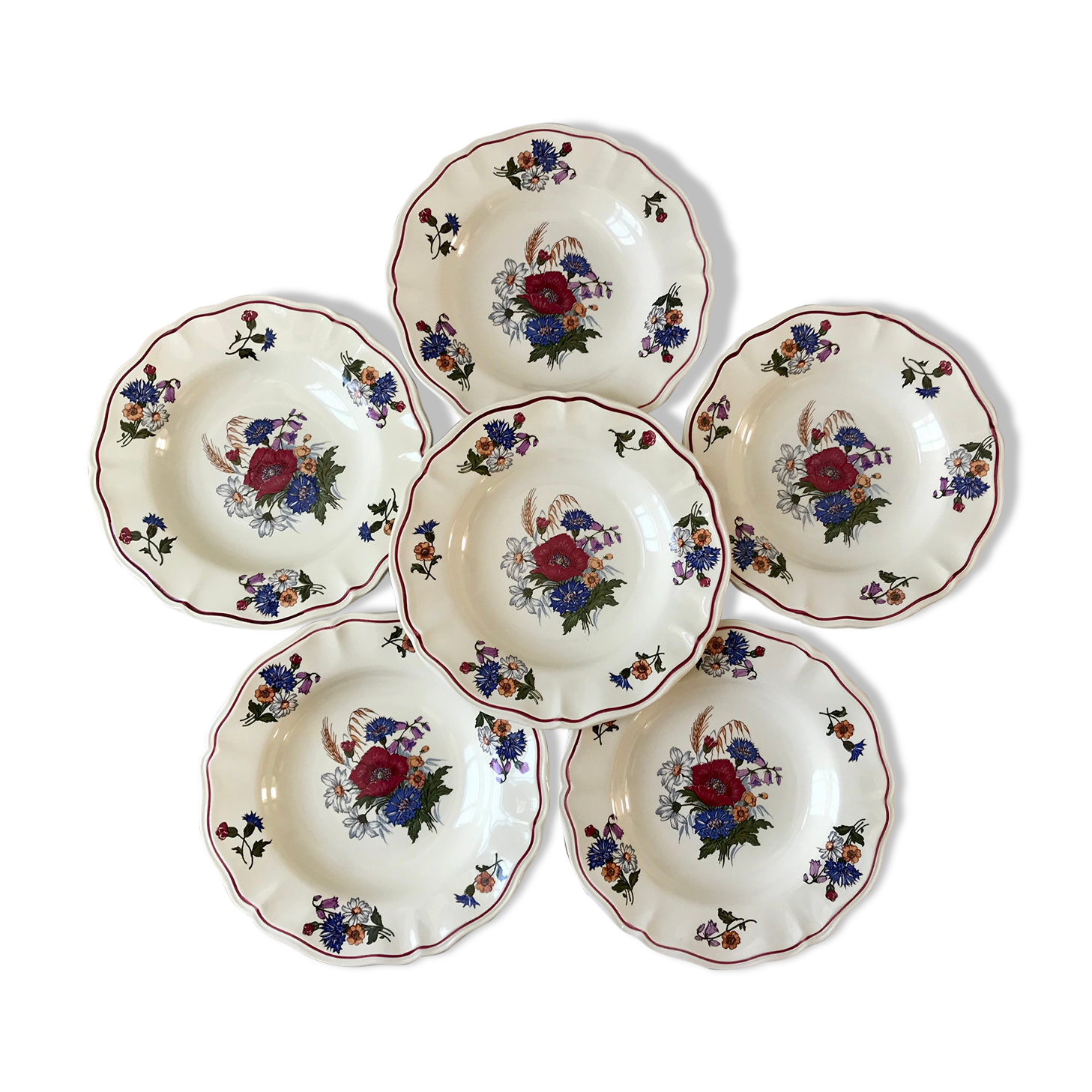 Set of 6 hollow plates Digoin Sarreguemines model Agreste 50s