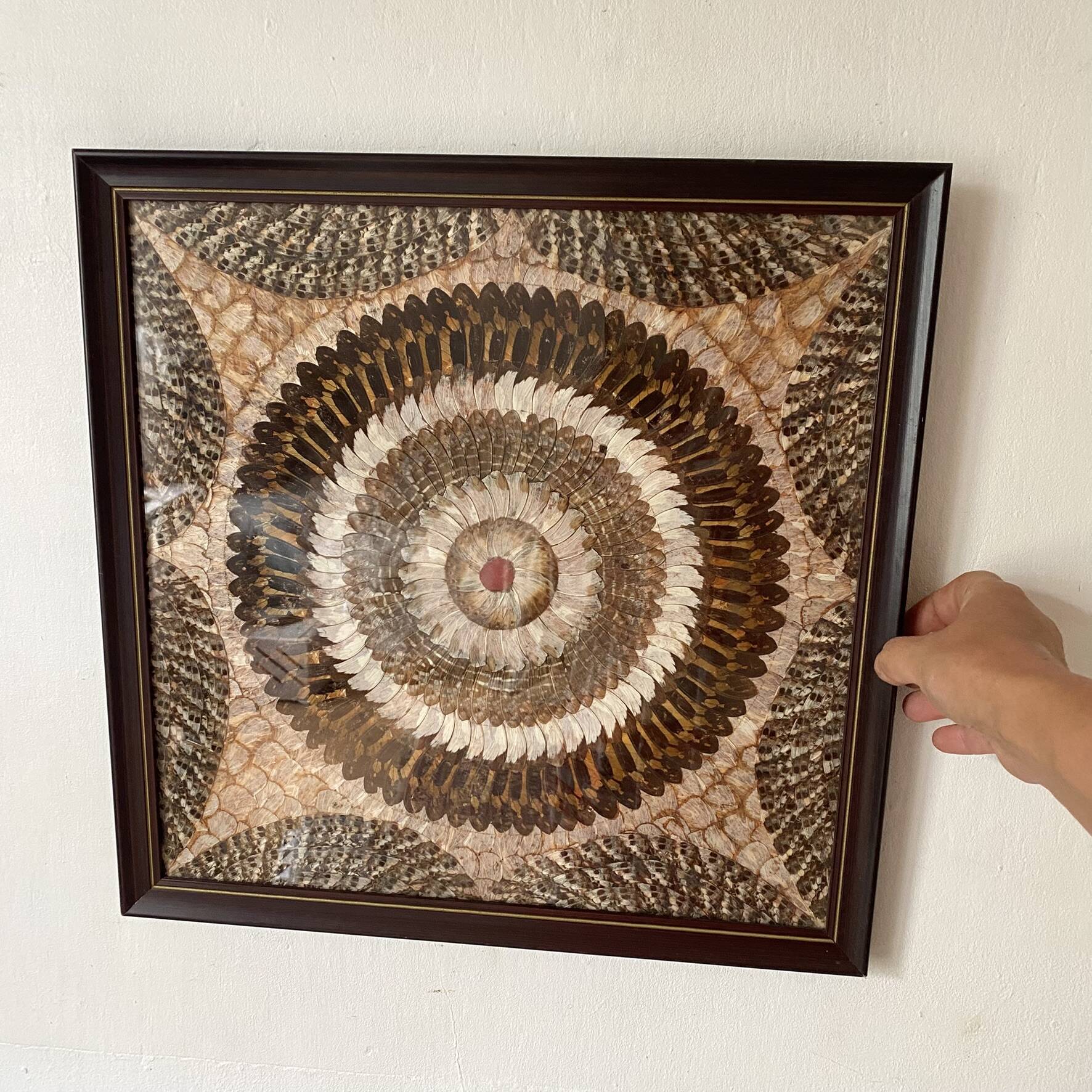 Vintage frame butterfly wings mosaic