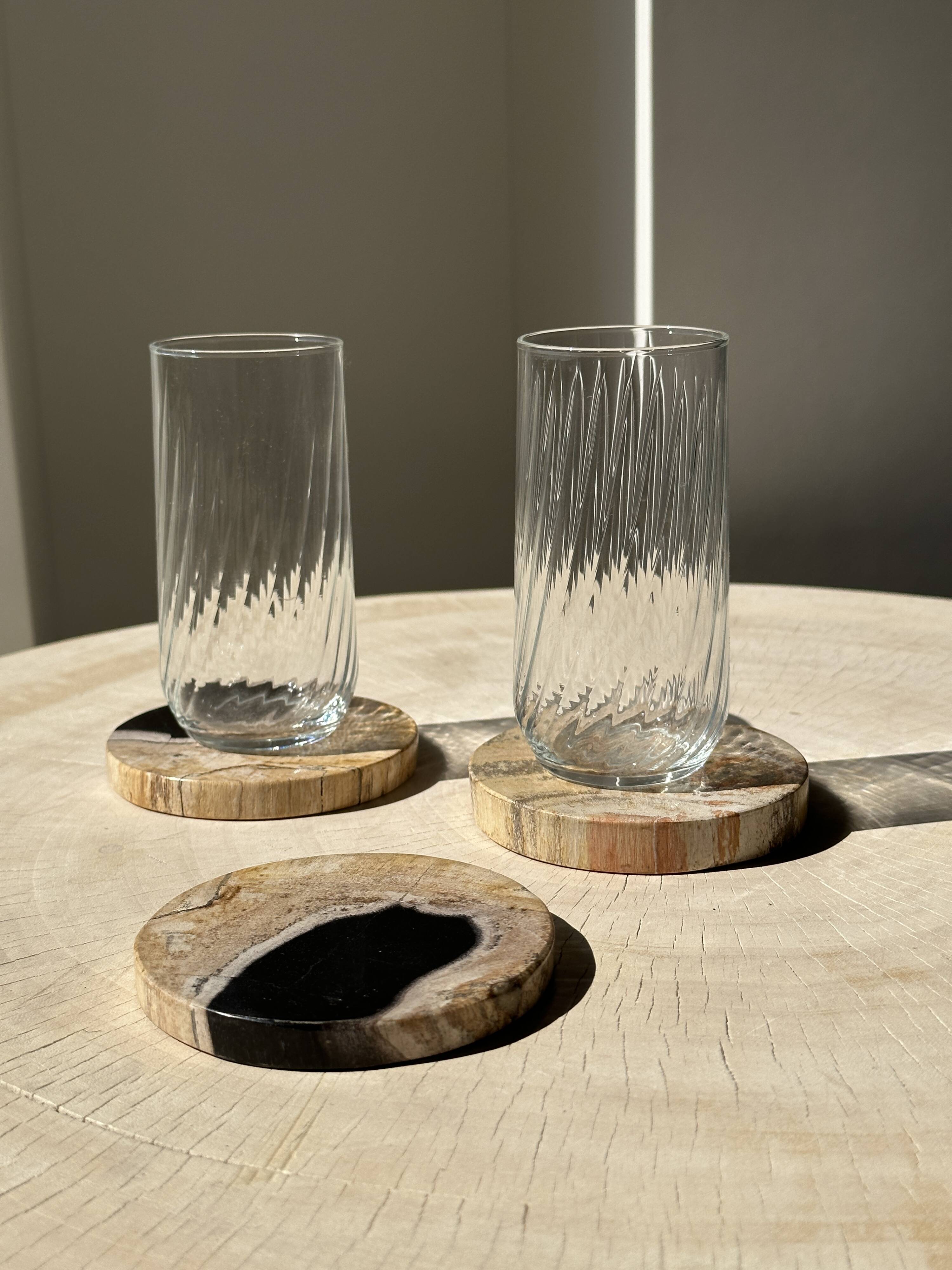Set of 3 fossilized wood coasters (clear)