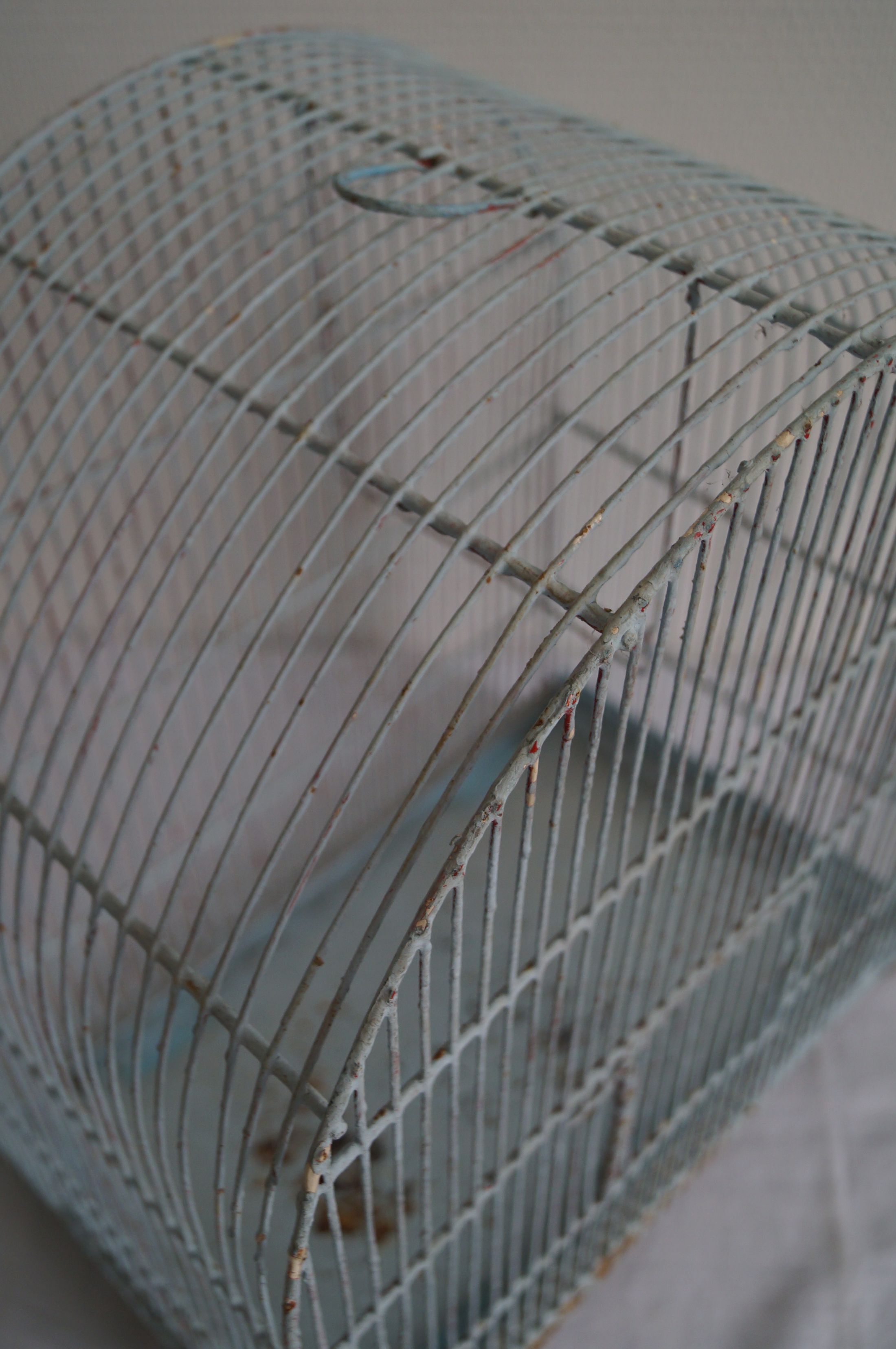 Former birdcage