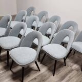 Chaises de Salle à Manger par Antonin Suman, 1960s, Set de 12