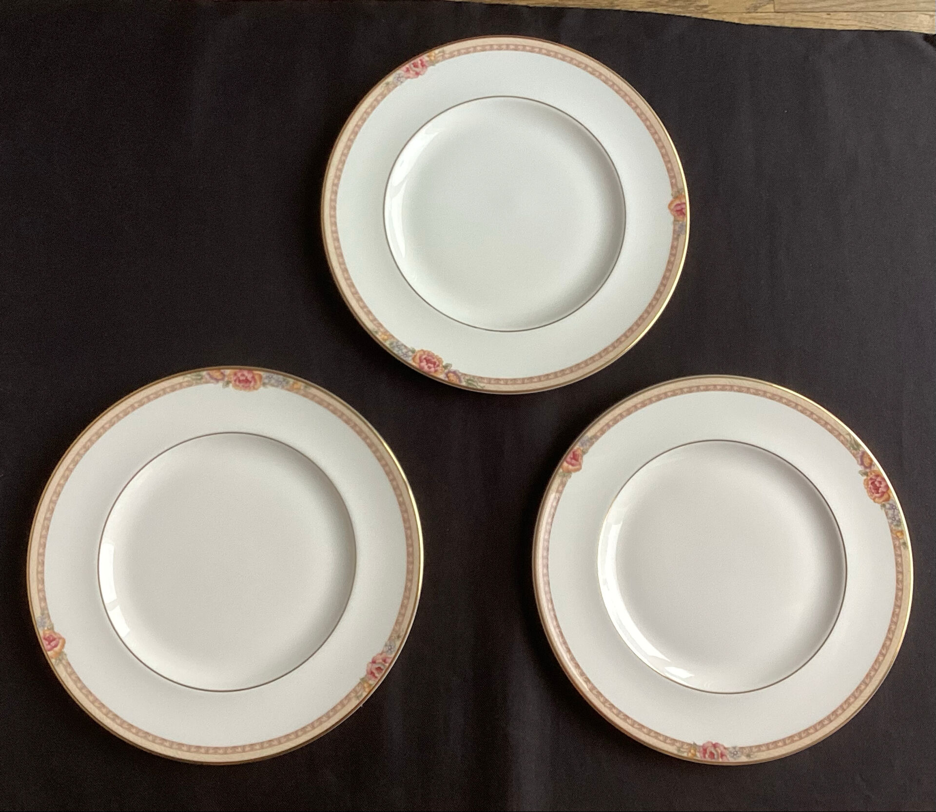 Large fine porcelain plates Royal Doulton Darjeeling
