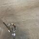 Silver metal champagne bucket