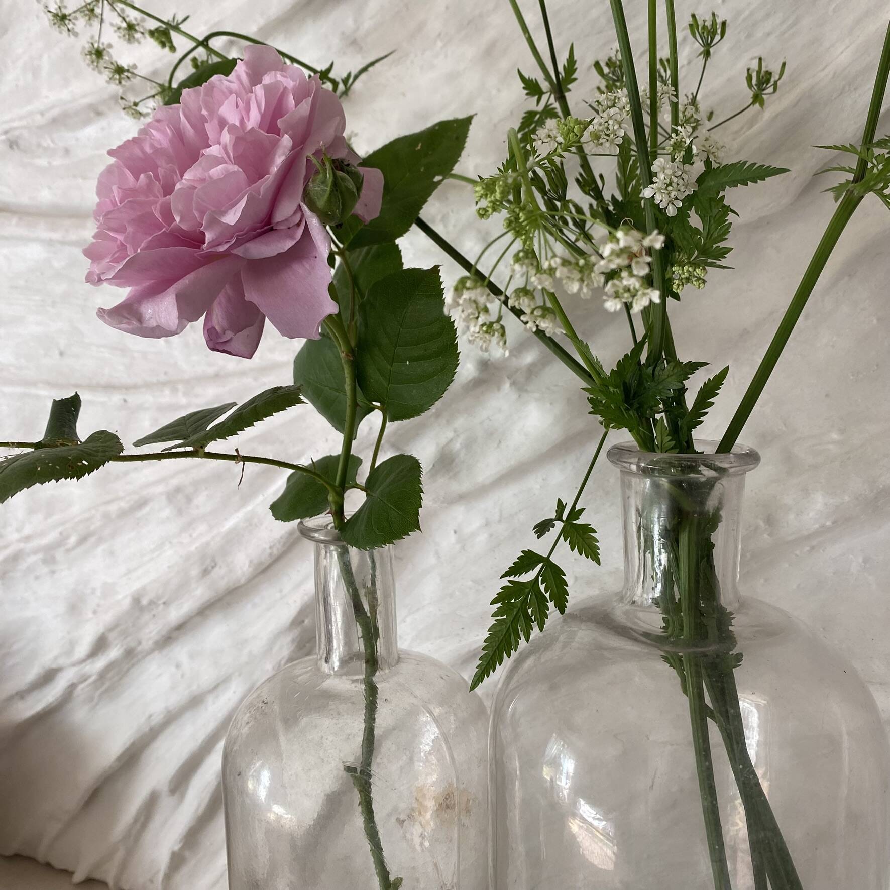 Old glass bottles pharmacy vials
