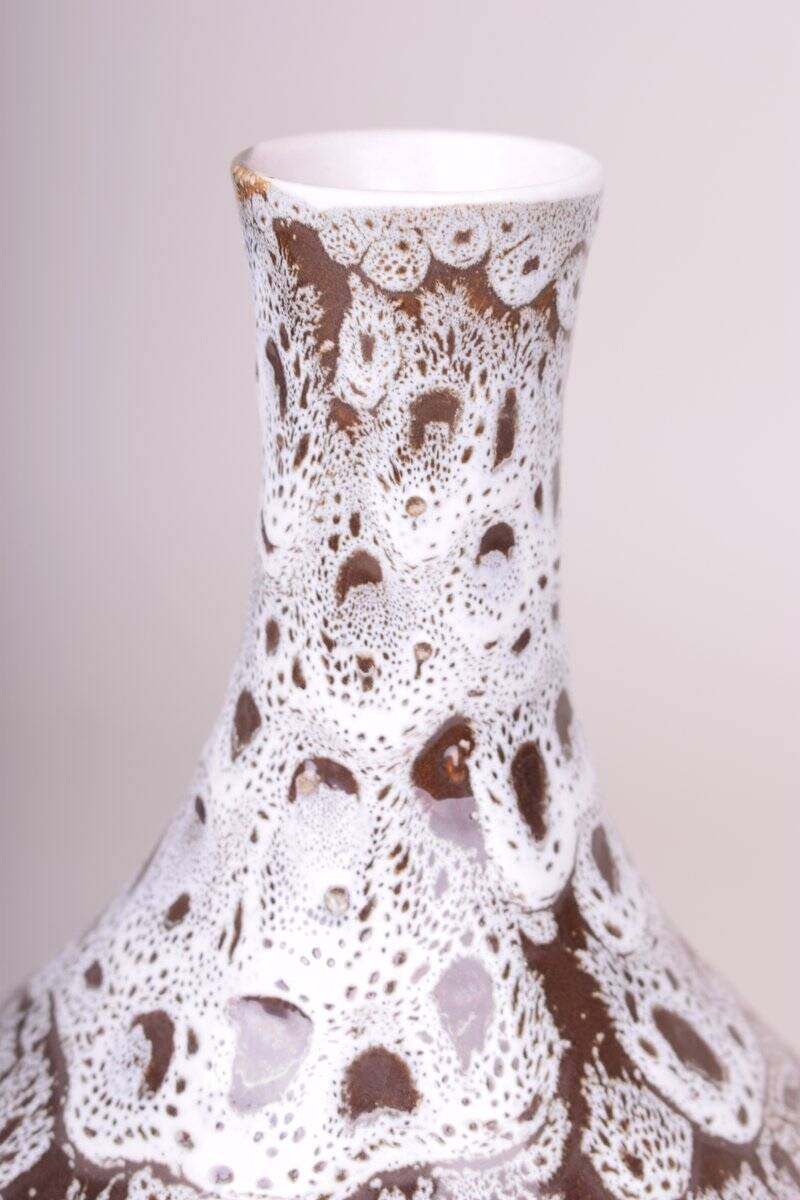 Mid-Century Vasein Ceramic by Ditmar-Urbach, Czech, 1960s