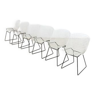 Chaises de salle à manger en fil métallique par Harry Bertoia pour Knoll 1970