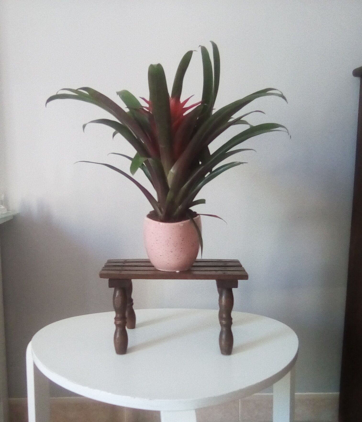 Vintage stool carries plant 70s/80s