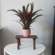 Vintage stool carries plant 70s/80s