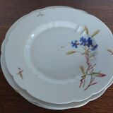 Lot de 3 anciens plats ronds Porcelaine de Limoges Haviland