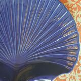 Shell dish
