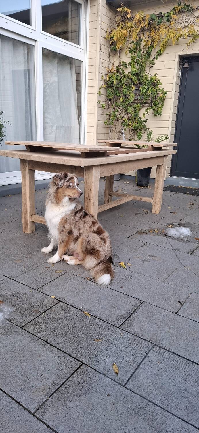 Farmhouse table with oak extensions 3m