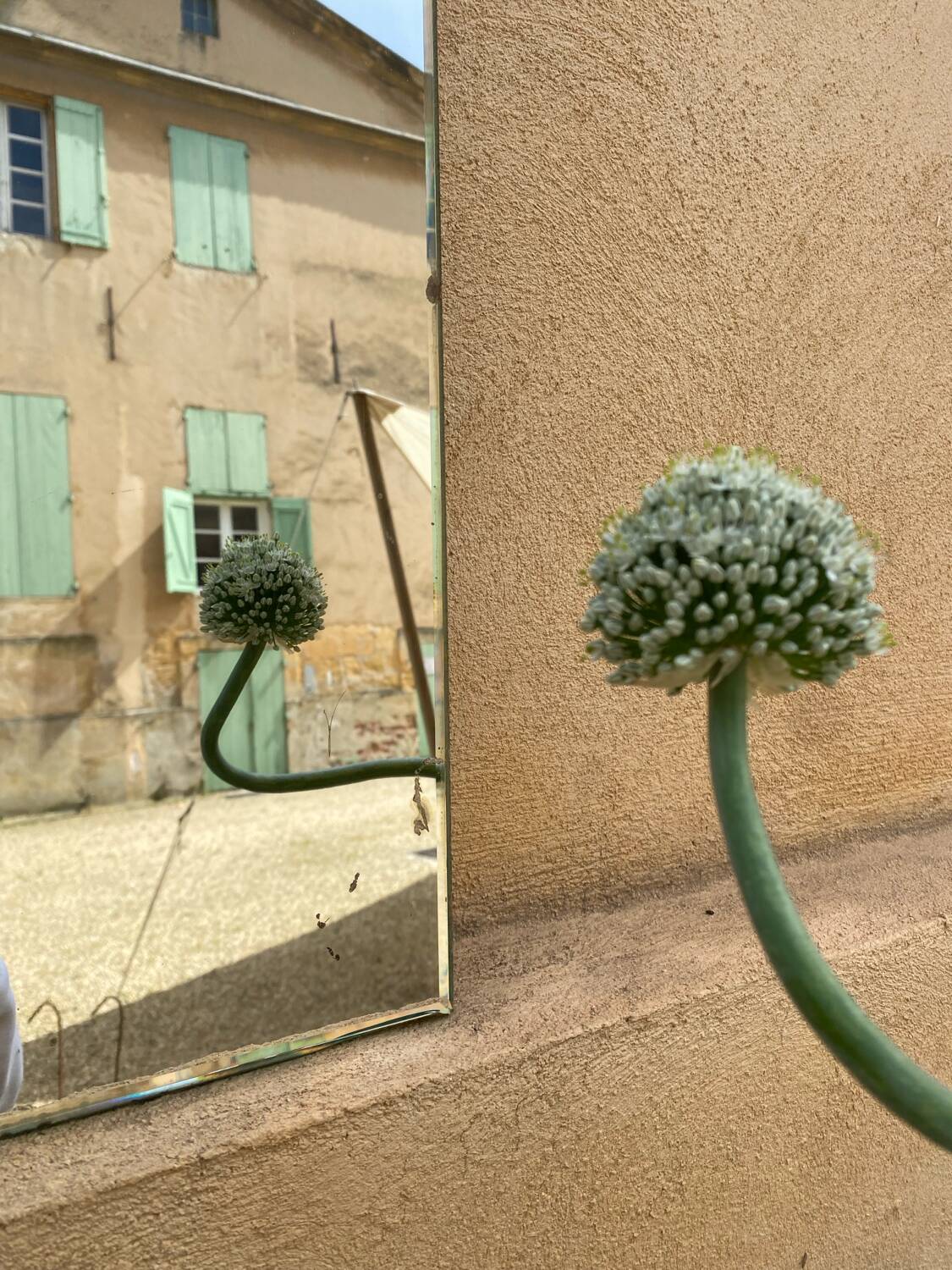 Vintage beveled mirror