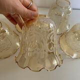 5 Glass Tulip Chandelier