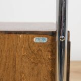 Mid-century nightstands Bauhaus from Mücke-Melder, 1930s, Czechoslovakia, set of 2