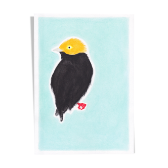 Bird "Golden Cap" - Original Drawing