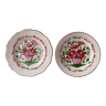 Set of 2 plates XIXth Les Islettes, rooster decoration and flowery basket