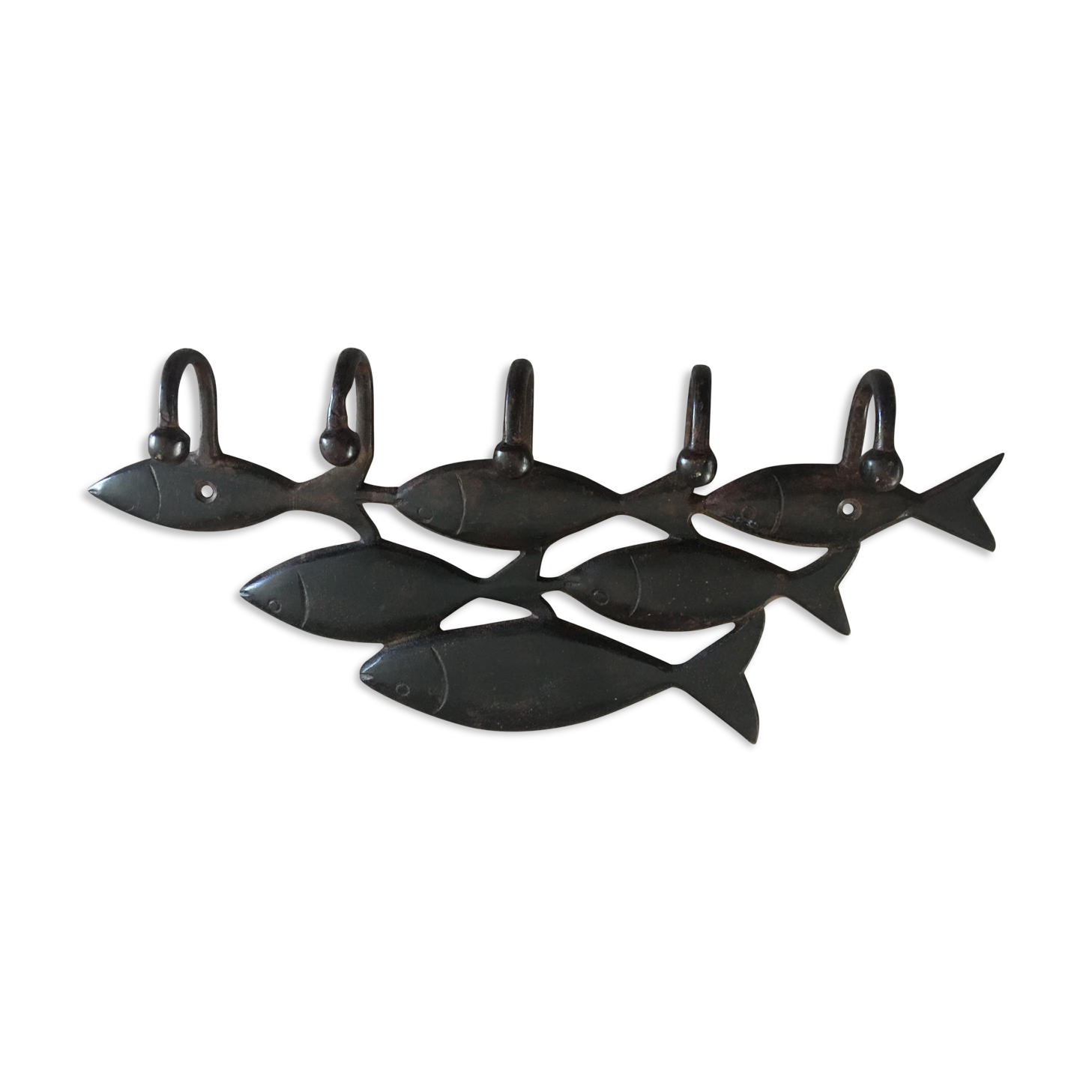 Patère school of fish