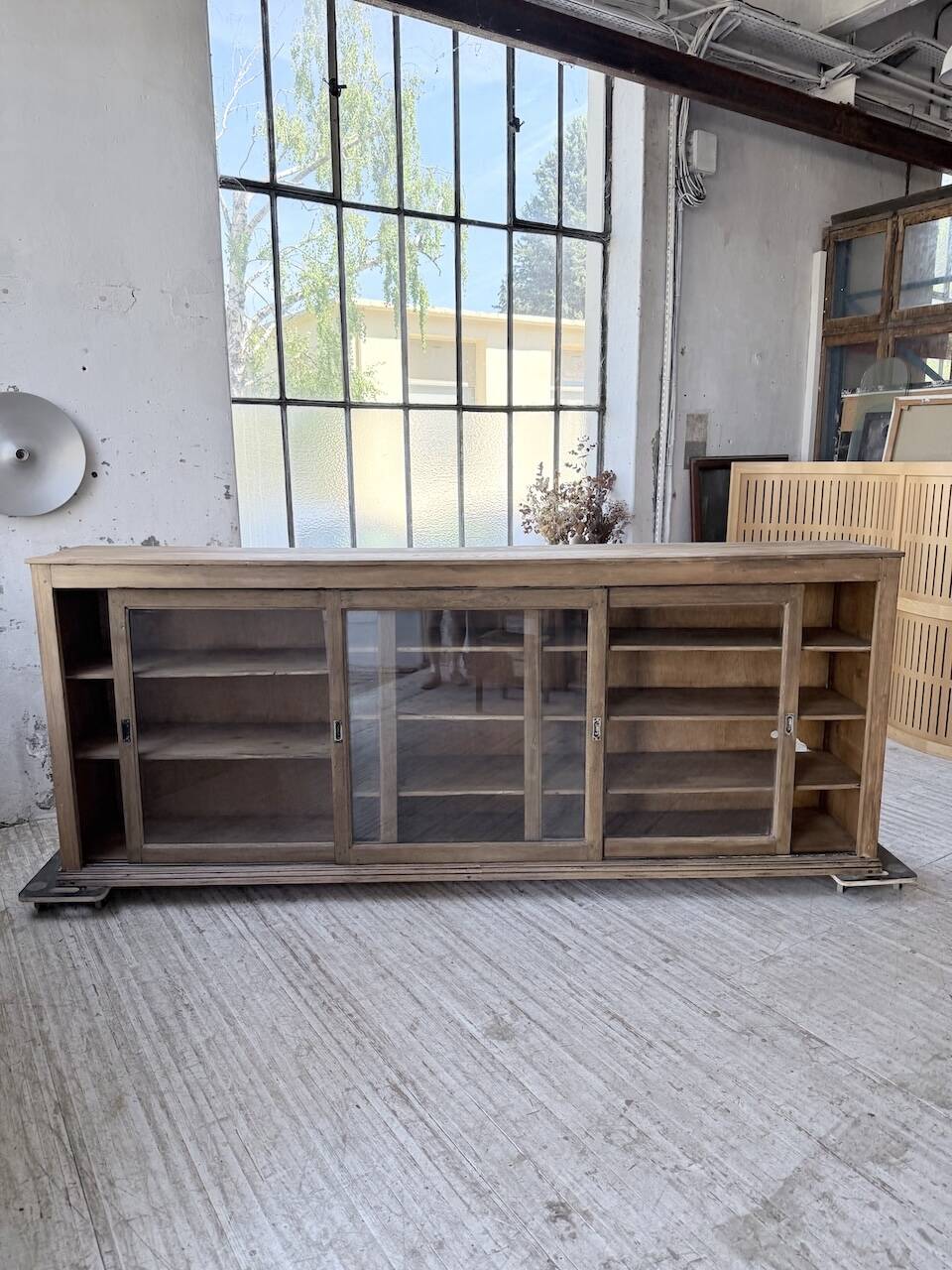 XXL 3m pine and oak display cabinet with glass doors