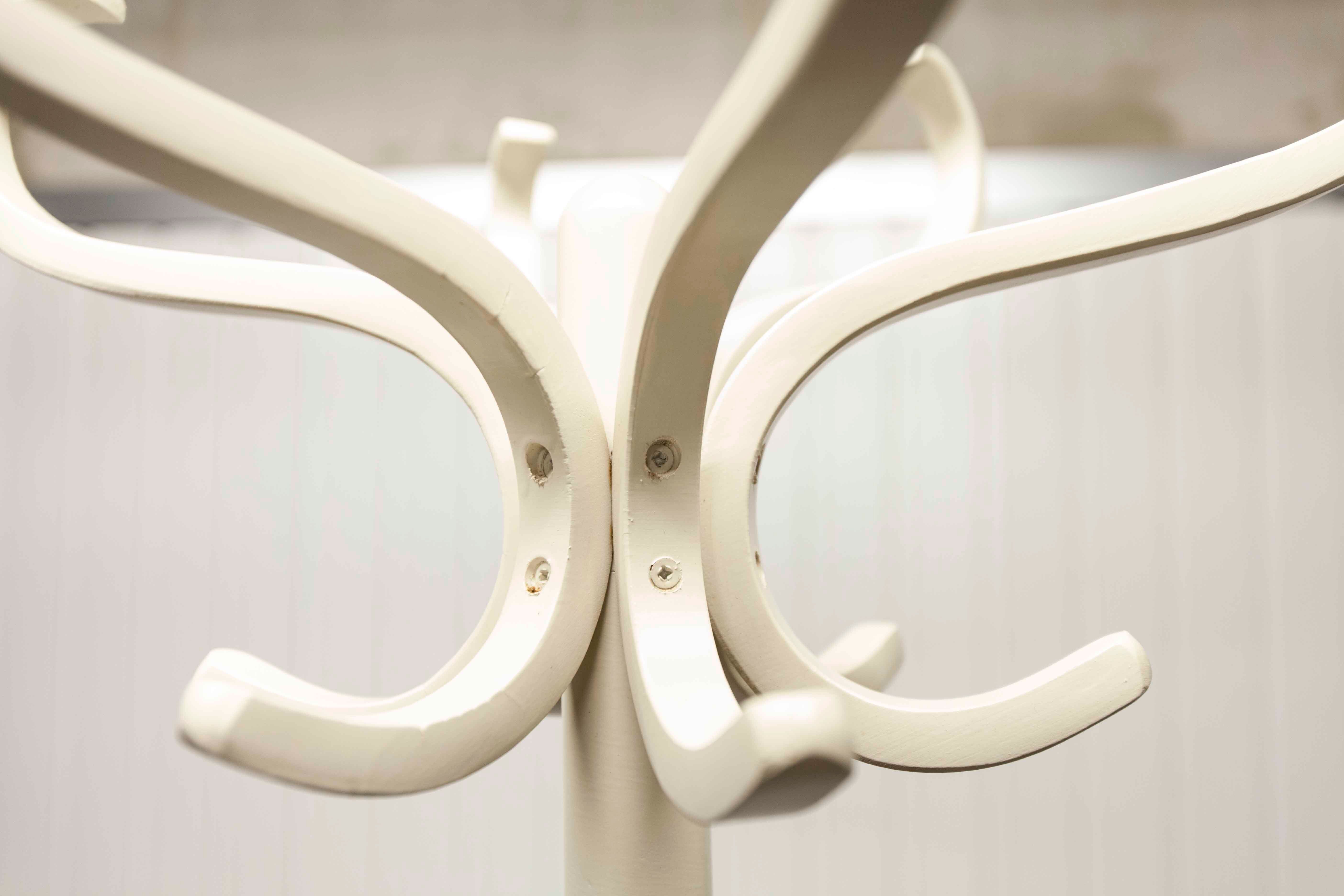 Parrot wears white Baumann coat 1970