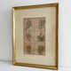 Lithograph botanical plate enhanced with watercolour.