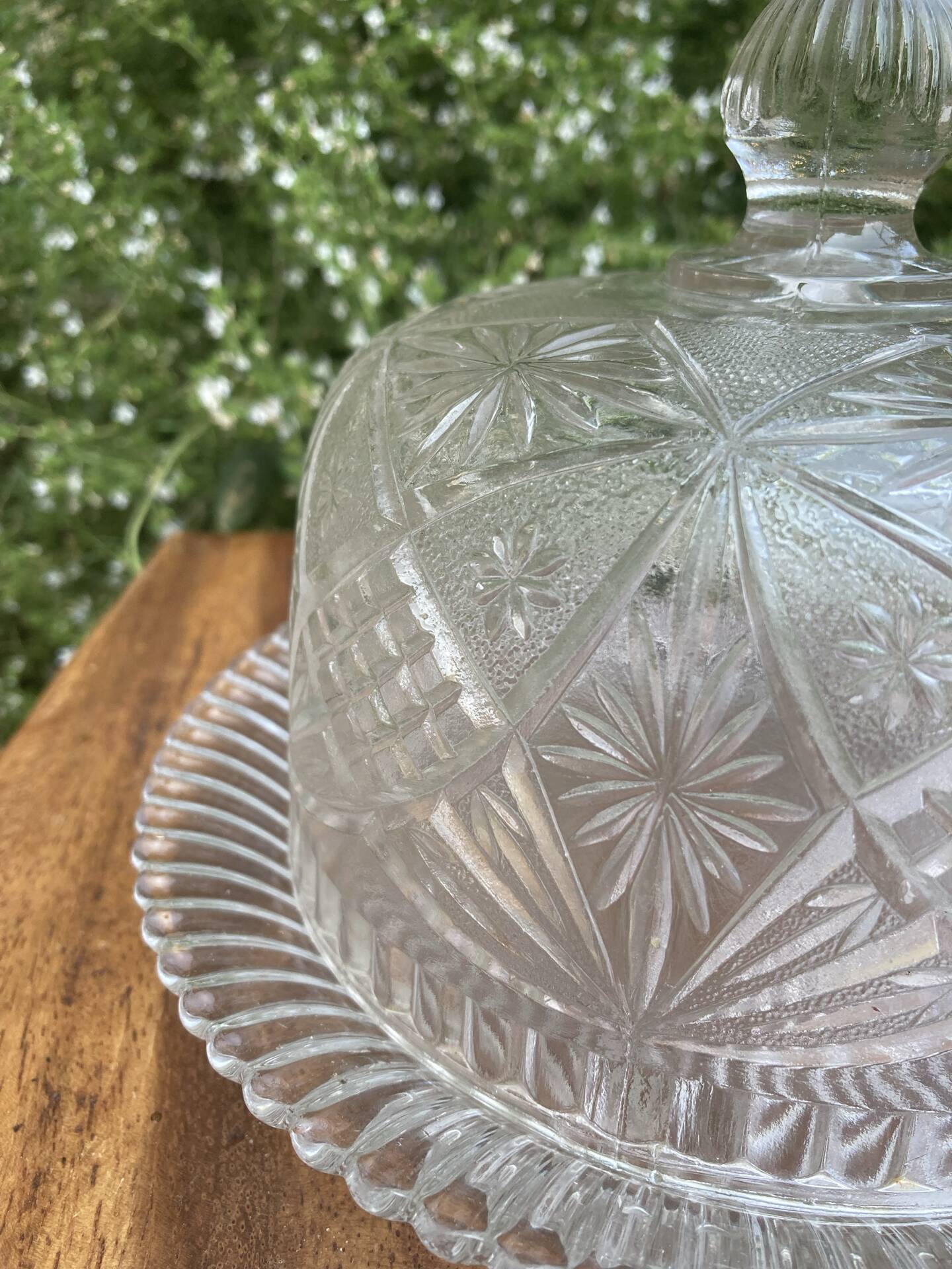 Pressed and moulded glass cheese dome