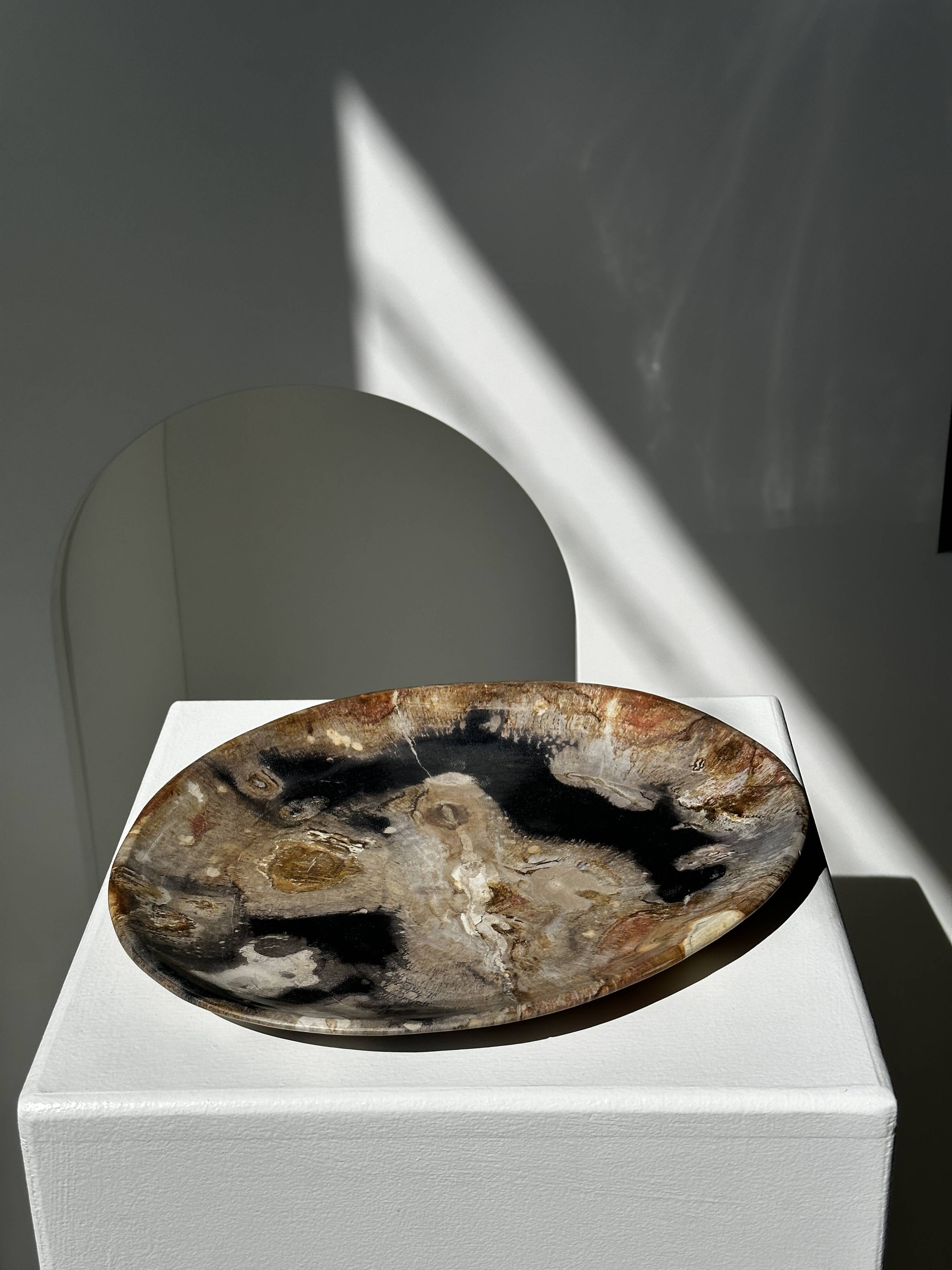 Large empty pocket or dish in petrified wood