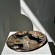 Large empty pocket or dish in petrified wood