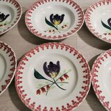 Old flowered plates, Moulin des loups