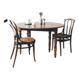 Table à volets ancienne en bois massif