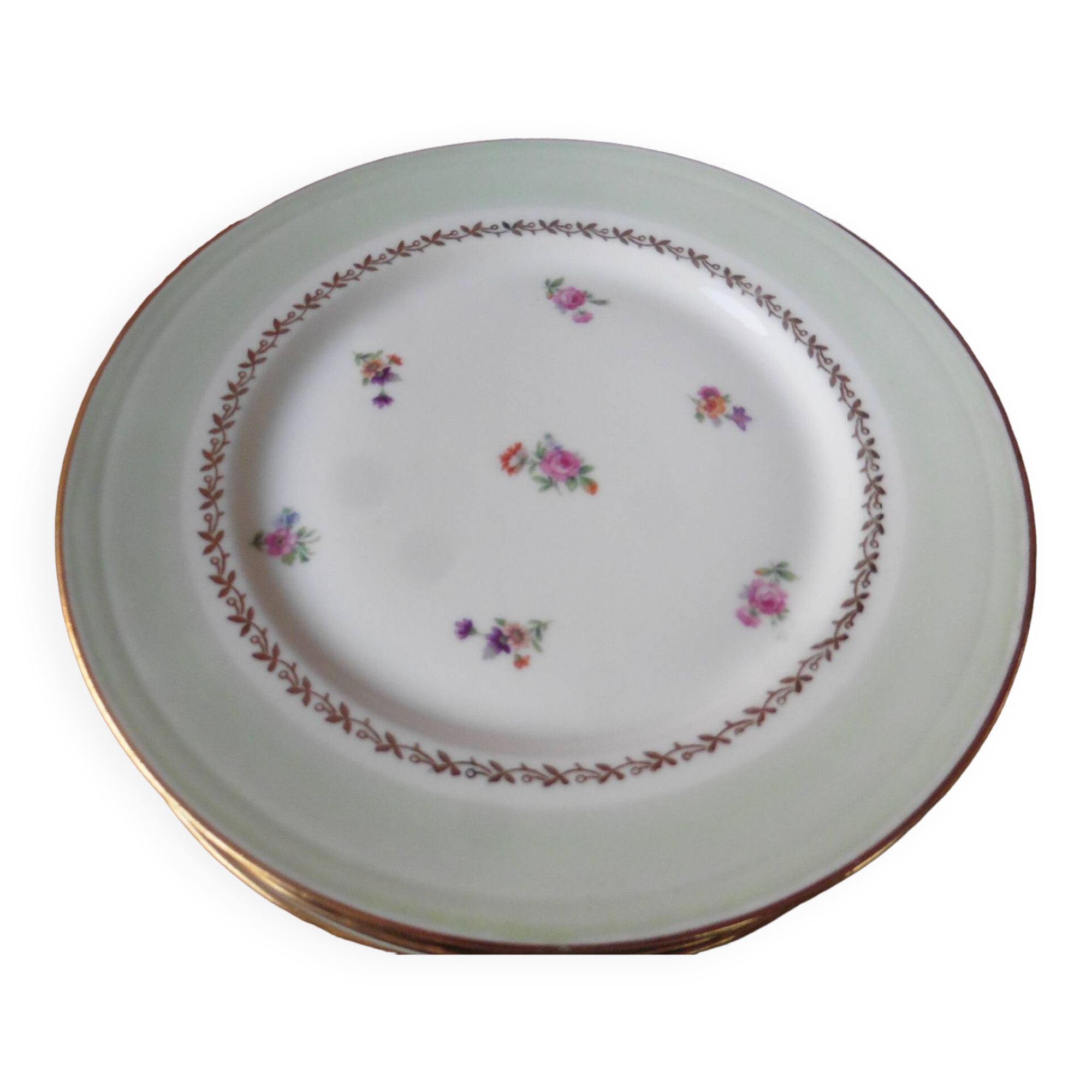 6 flat plates in PL Limoges porcelain 24 cm flower decoration with gold edging