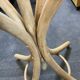 Coat stand umbrella in Thonet style