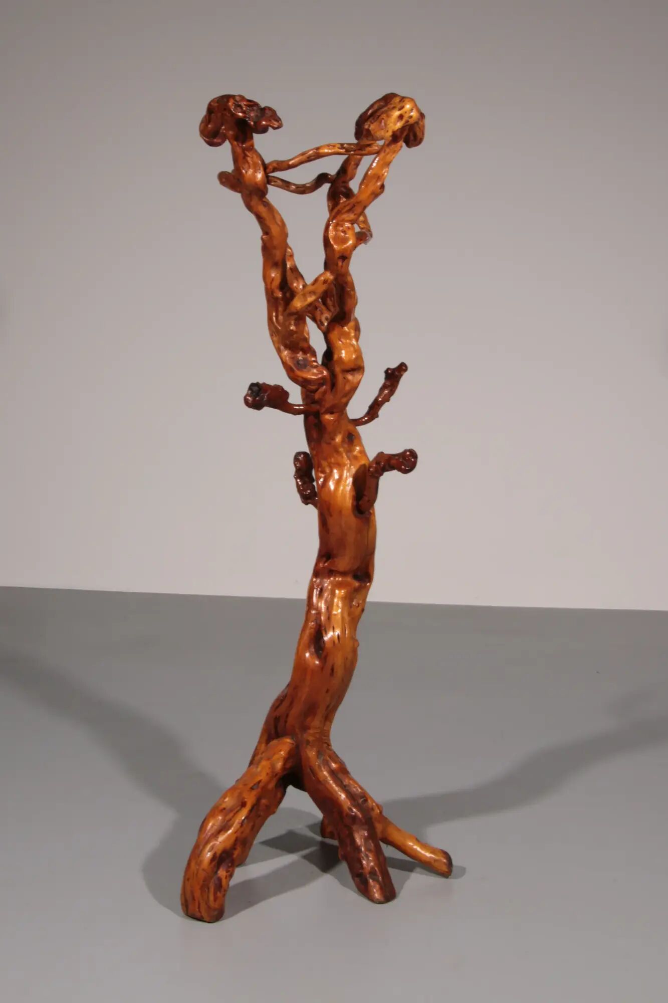 Sculptural oak coat rack – a functional work of nature Italy 60